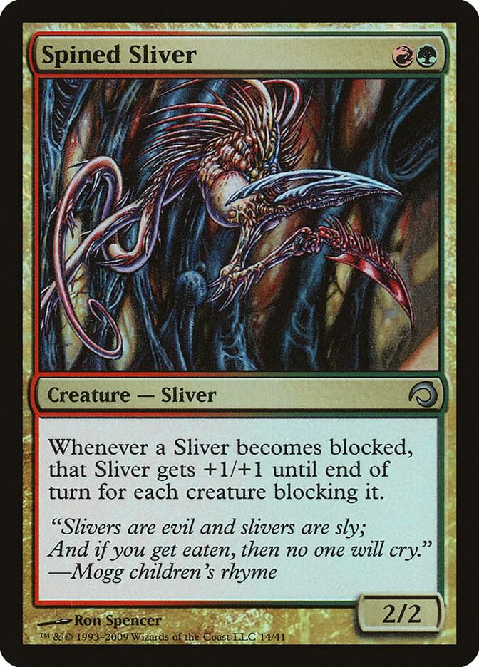 Spined Sliver